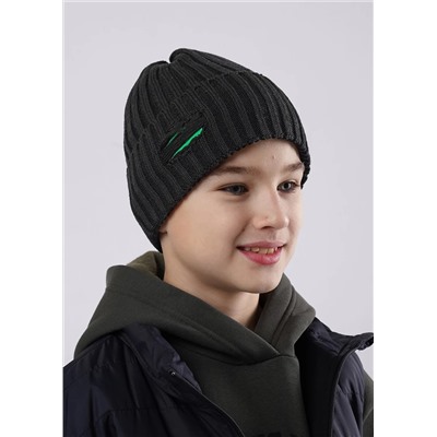 CLEVER Шапка 564666ха