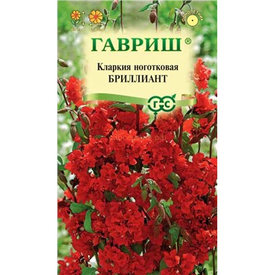 Кларкия Бриллиант красная (Гавр)