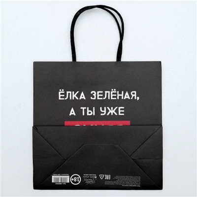 Пакет подарочный новогодний «А ты уже синяя», 22×22×11 см