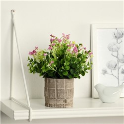 Искусственный цветок в горшке «Фиалка химера», 8×17 см, МИКС