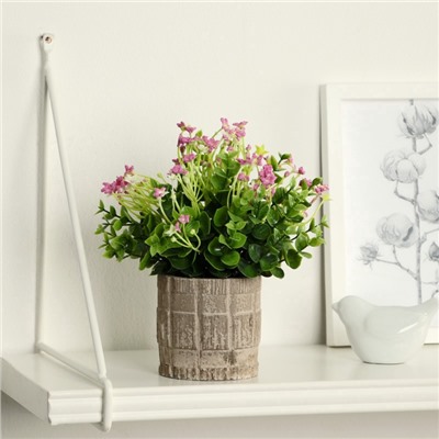 Искусственный цветок в горшке «Фиалка химера», 8×17 см, МИКС