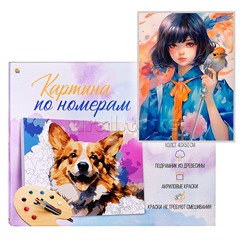 Холст с красками 40х50 по номерам "Девушка с птицей" (в коробке) (30цв.)