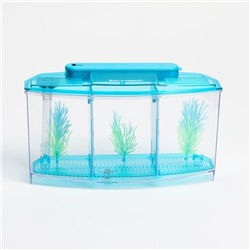 Аквариумный набор трехсекционный, с подсветкой LED, 2.55 л, голубой