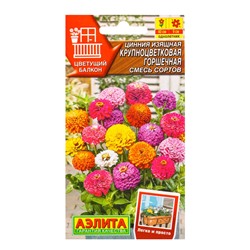 Семена цветов Цинния Крупноцветковая горшечная, смесь сортов  Цветущий балкон, Ц/П,12 шт.