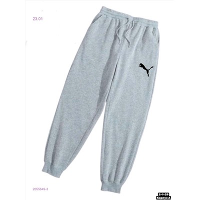 Штаны 2055649-3