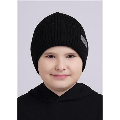 454897 CLEVER Шапка