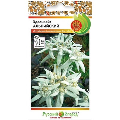 Эдельвейс (НК)