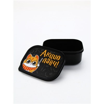 Ланч - бокс прямоугольный «Акцио ланч», 500 мл