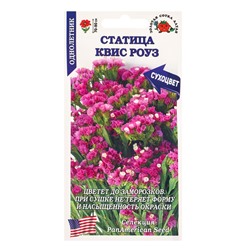 Семена Статица «Квис Роуз», 10 шт., «Золотая Сотка Алтая» селекция PanAmerican Seed