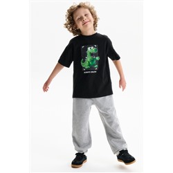 Футболка для мальчиков PELICAN, 1232807