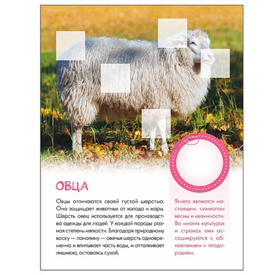 Мир животных с наклейками. Кто живёт в деревне?