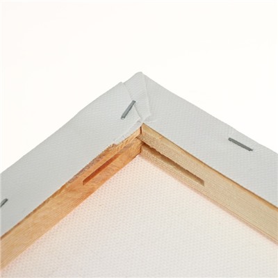 Холст на подрамнике, хлопок 100%, 1.6×50×80 см, акриловый грунт, мелкозернистый, 280 г/м²