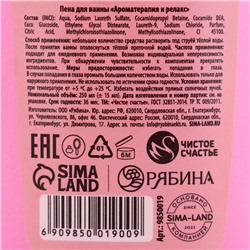 Пена для ванны «Уютные объятия зимы», 250 мл, аромат ягодный сорбет, Чистое счастье