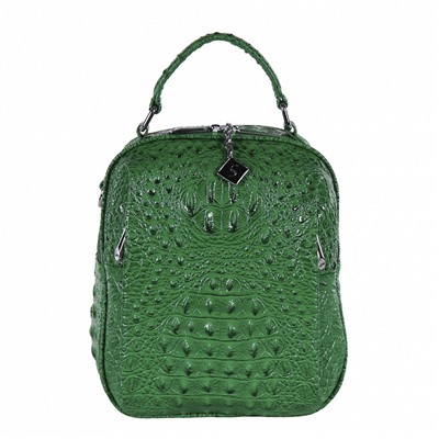 Рюкзак 69123-1 green Velina Fabbiano-Safenta