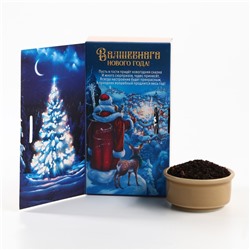 Чай новогодний чёрный «Зимняя Новогодняя сказка» в коробке-книге, вкус: зимняя вишня, 100 г