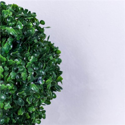 Самшит-шар 28 см / D280 /уп 60/