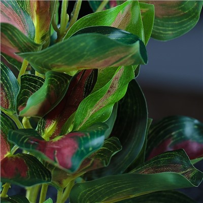 Растение аквариумное «В горшочке», 31×23×19 см