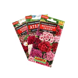 Набор семян цветов Гвоздика турецкая многолетняя