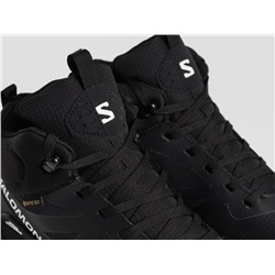 Зимние Кроссовки Salomon Elixir Activ Mid GTX