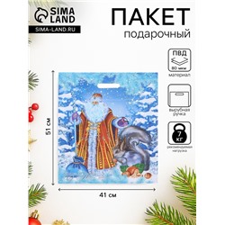 Пакет подарочный новогодний «Дед Мороз и Снегурочка», полиэтиленовый с вырубной ручкой, 41×51 см