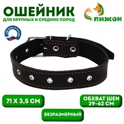 Ошейник кожаный на синтепоне, безразмерный, 71×3.5 см, ОШ 29-62 см, чёрный