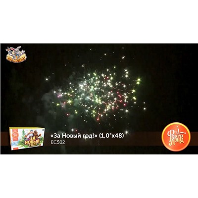 Фейерверк ЕС502 За Новый Год! (1" х 48)