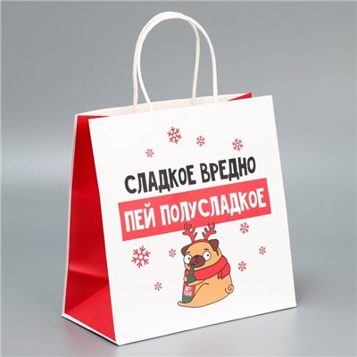 Набор пакетов подарочных новогодних «Пусть мечты сбудутся», 6 шт., 22×22×11 см