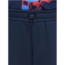 PELICAN Брюки BFPQ3337