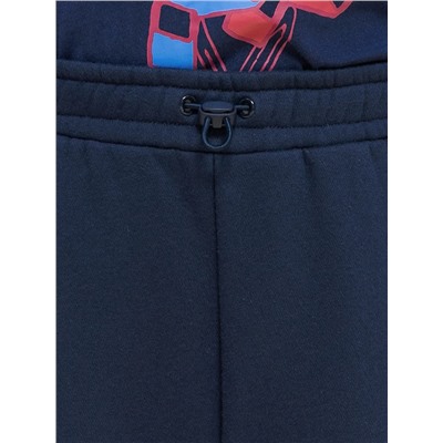 PELICAN Брюки BFPQ3337