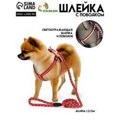 Шлейка с поводком «Плетенка», ОГ 32-48×1.5 с, поводок 115×1 см, флуоресцентная, красная