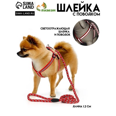 Шлейка с поводком «Плетенка», ОГ 32-48×1.5 с, поводок 115×1 см, флуоресцентная, красная