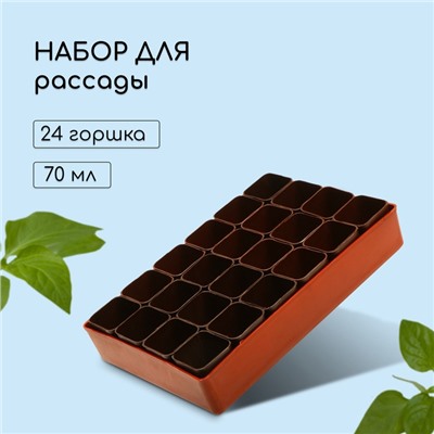 Набор для рассады: стаканы по 70 мл (24 шт.), поддон 29,5 × 20 см, МИКС