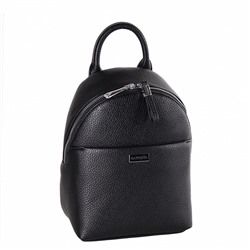 Рюкзак 69149 black Velina Fabbiano-Safenta
