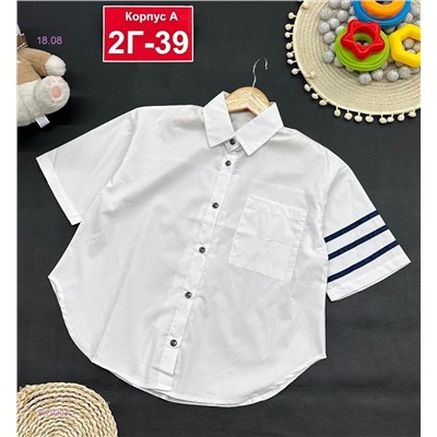 рубашка 1979203-1