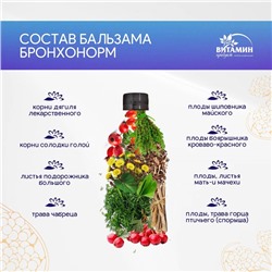 Бальзам Бронхонорм, 250 мл