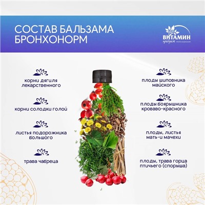 Бальзам Бронхонорм, 250 мл
