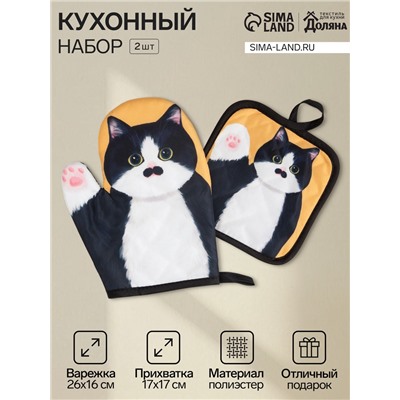 Кухонный набор «Доляна. Котик Борис», чёрный: прихватка, варежка-прихватка