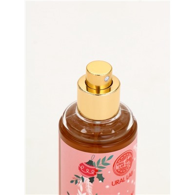 Подарочный набор новогодний «Чудес в Новом году», гель для душа, мочалка и мист, URAL LAB