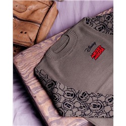 Джемпер для мальчика ESLI джемпер для мальчика 18С-180СП