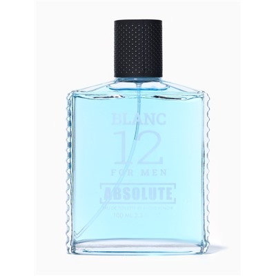 Туалетная вода мужская Absolute Blanc 12 (по мотивам Lacoste 12.12. Blanc), 100 мл