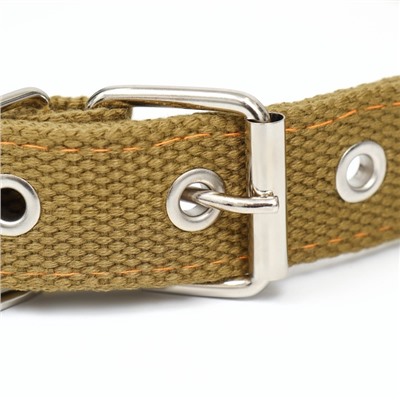 Ошейник брезентовый двухслойный, 58×2.5 см, песочный