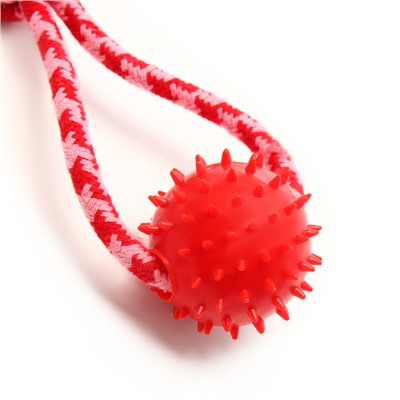 Игрушка канатная «Узел с массажным шариком», до 31 см, до 65 г, микс цветов