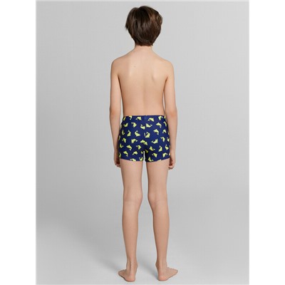 ТРУСЫ КУПАЛЬНЫЕ ДЛЯ МАЛЬЧИКОВ 703363