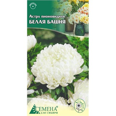 Астра Белая башня пионовидная, 0,2г (цв.)