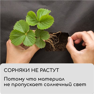 Материал мульчирующий, с перфорацией, 5×0.8 м, плотность 80 г/м², спанбонд с УФ-стабилизатором, чёрный, Greengo, Эконом 30%