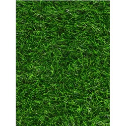 Газон искусственный, ворс 30 мм, 1×2 м, зелёный, Greengo