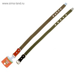 Ошейник брезентовый однослойный, 50×2 см, ОШ 25-35 см, хаки