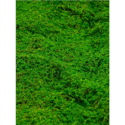 Мох искусственный, декоративный, полотно 1×1 м, цвет мох, Greengo
