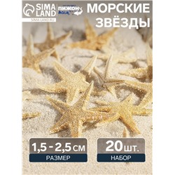 Набор натуральных морских звезд, 1.5 - 2.5 см, 20 шт.