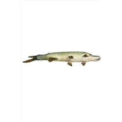 Игрушка-антистресс Рыба мечты. Щука НАТАЛИ, 1082978